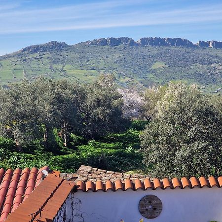 La Casa Del Patio Apartman Zafra Kültér fotó