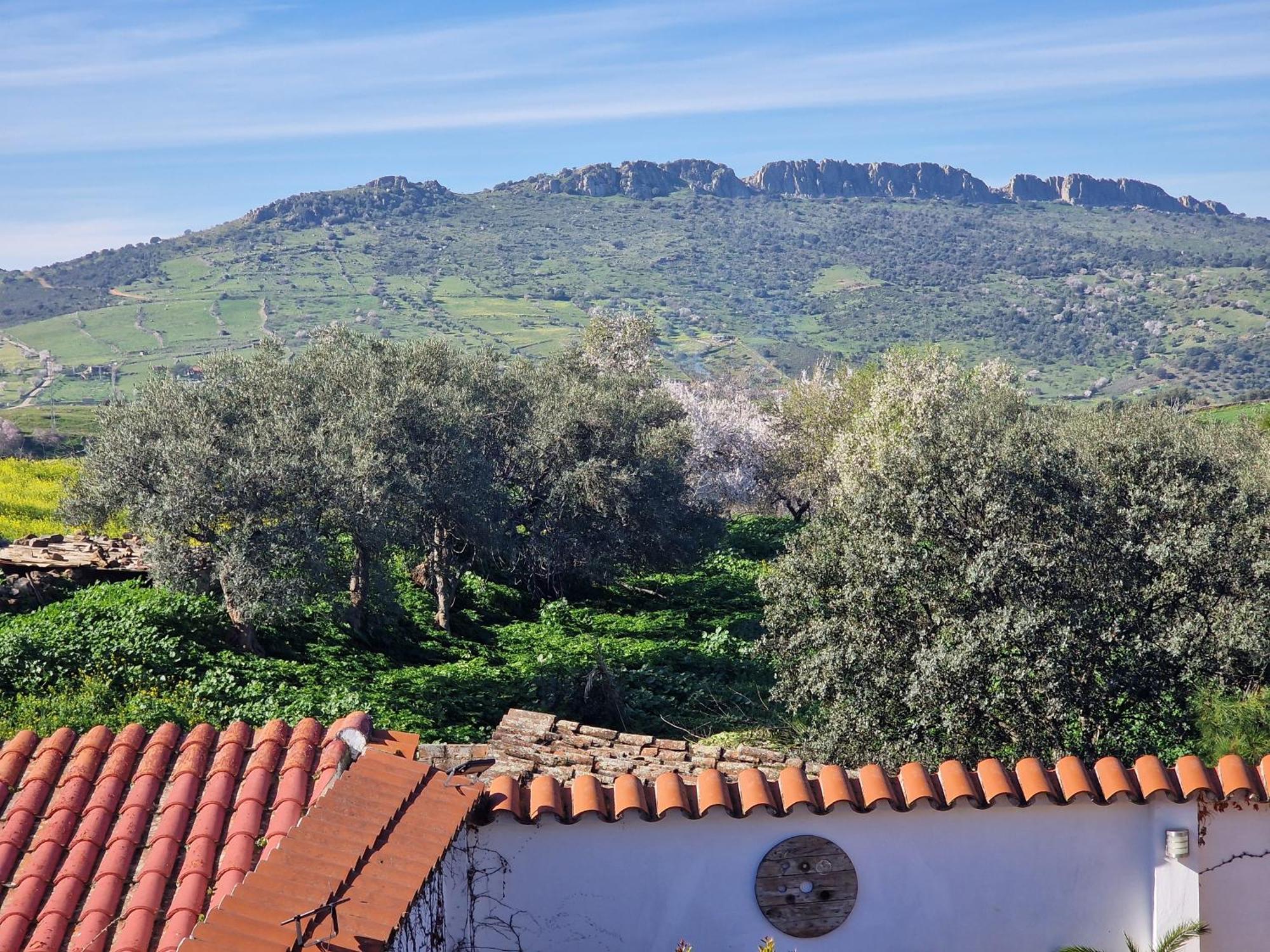La Casa Del Patio Apartman Zafra Kültér fotó